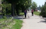 Закуплено урни та контейнери для сміття