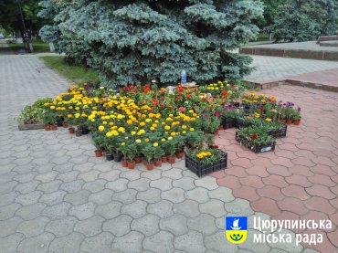 Зробимо Олешки квітучим містом разом!