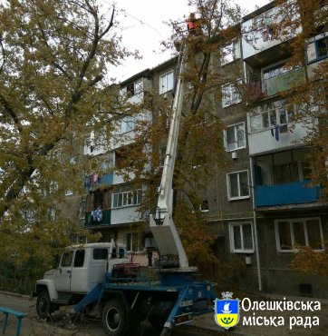 КП «Побут» сьогодні здійснюється санітарна обрізка зелених насаджень