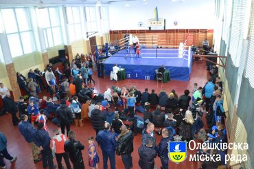 Відкриття чемпіонату з боксу «Олешківські ігри - 2016»
