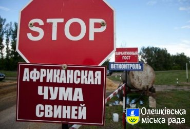 Обережно африканська чума свиней