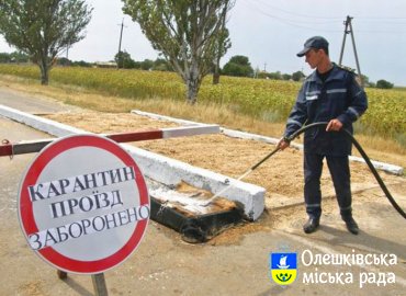 Звернення Олешківського міського голови до громади з приводу поширення АЧС