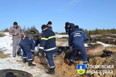 Робота по ліквідації африканської чуми триває