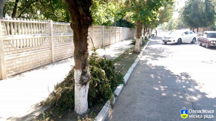 Обрізка порослі зелених насаджень