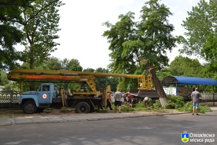 В Олешках продовжується робота по видаленню аварійних дерев