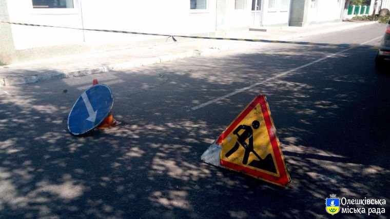 Зрізування проблемних дерев в Олешках