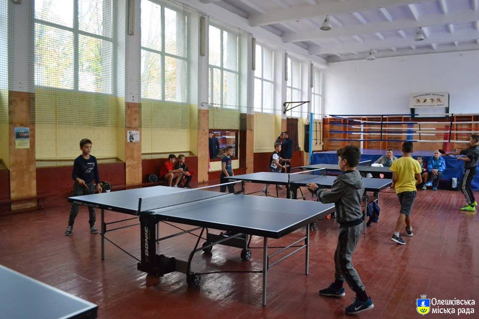 Відкрита першість з настільного тенісу в Олешках