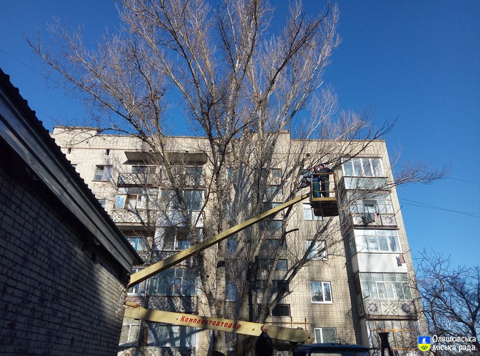 В Олешках проводиться спилювання аварійних дерев