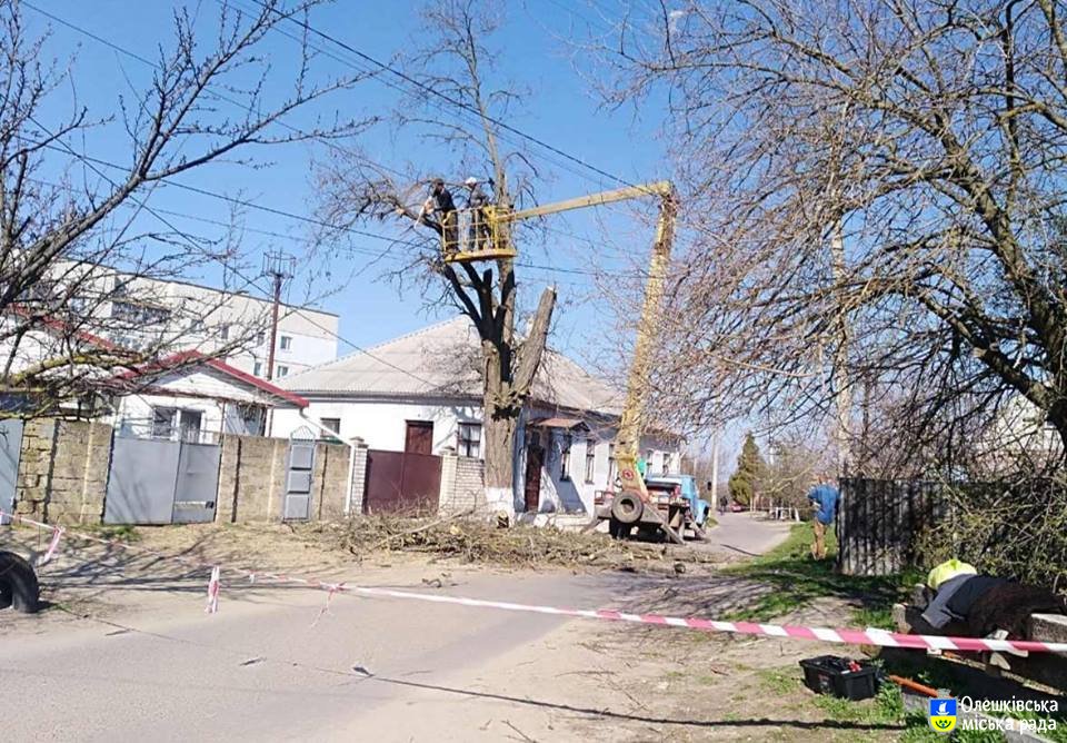 Обрізка дерев в Олешах