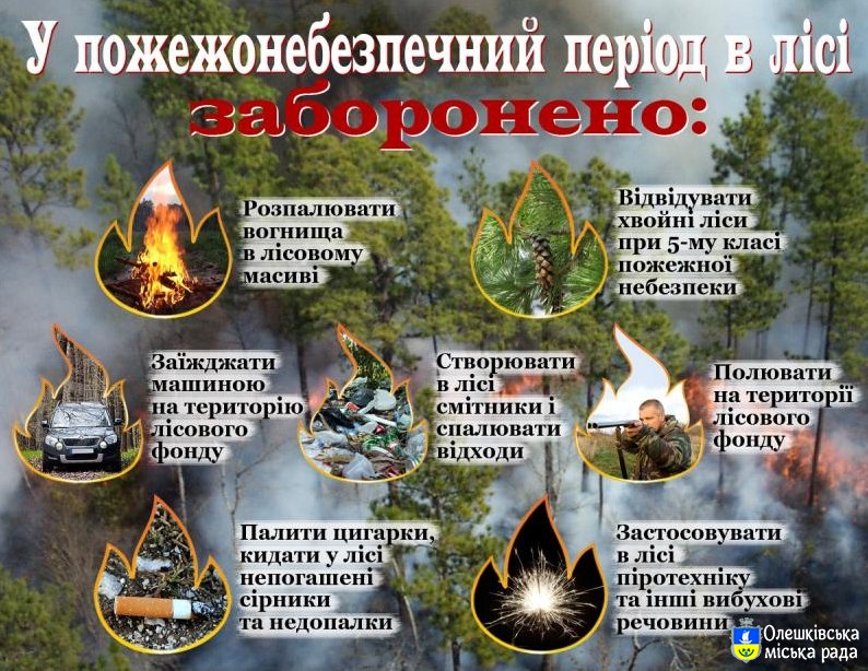 Правила пожежної безпеки в лісі