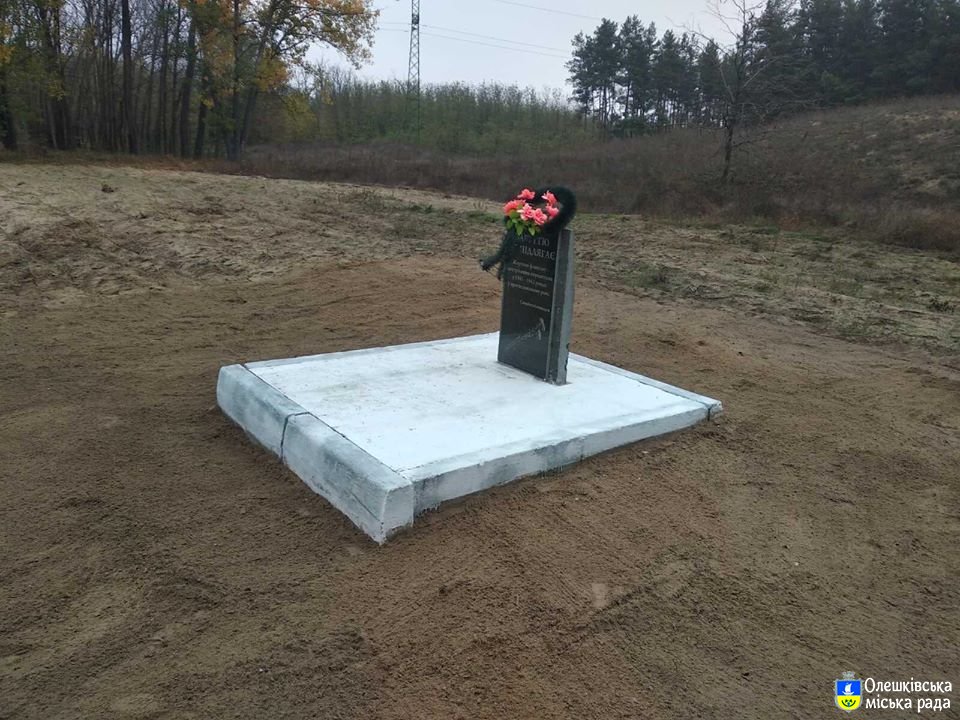 Продовження флешмобу до Дня визволення України та м.Олешки