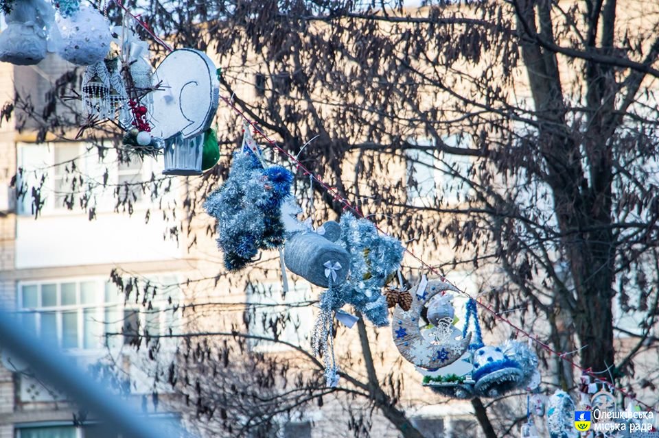 Слова вдячності за новорічний настрій в Олешках