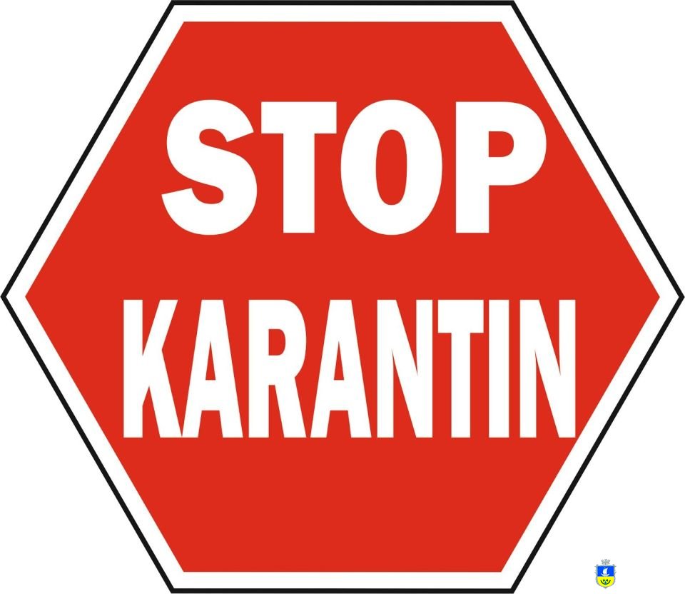 STOP карантин