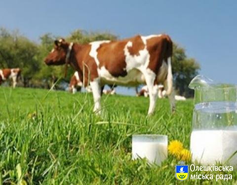Про реалізацію в області державної підтримки галузі тваринництва