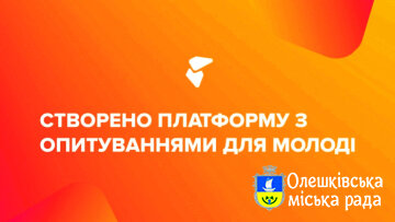 «Мережа опитувань у сфері молодіжної політики»
