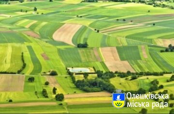 ПРО ІНДЕКСАЦІЮ НОРМАТИВНОЇ ГРОШОВОЇ ОЦІНКИ ЗЕМЕЛЬ ЗА 2025 РІК